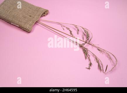 Le spikelets asciutte e una borsa di lino si trovano su uno sfondo rosa, erbe asciutte Abstract per un arredamento elegante casa. Primo piano, appartamento, vista dall'alto, spazio per fotocopie. Foto Stock