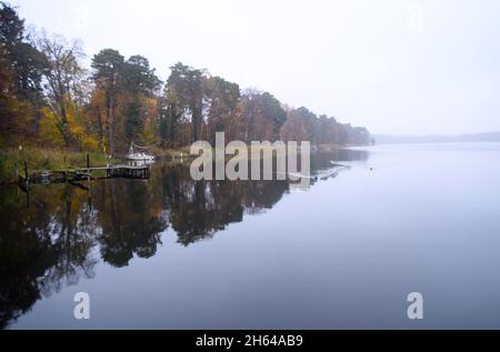 11 novembre 2021, Brandeburgo, Fürstenberg/Havel/OT Himmelpfort: I rigogliosi alberi autunnali sulla riva si riflettono nell'acqua dell'Haussee in una leggera nebbia. Il lago, che si estende per circa mezzo chilometro quadrato vicino alle rovine del monastero cistercense, fa parte del Parco Naturale dei Laghi di Uckermark ed è di origine naturale. Foto: Soeren Stache/dpa Foto Stock