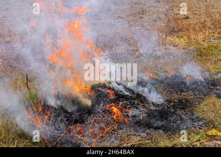 Wildfire sul campo dopo la raccolta brucia erba prato a causa arido cambiamento climatico caldo tempo e inquinamento ambientale Foto Stock