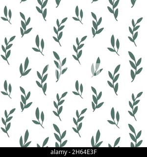 Rami con fogliame sempreverde e vettore foglie Illustrazione Vettoriale