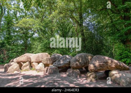 Vista del Dolmen più grande (hunebed) D27 vicino a Borger nei Paesi Bassi che è una tomba megalitica o tumulo di sepoltura con grandi pietre risalenti a NE Foto Stock