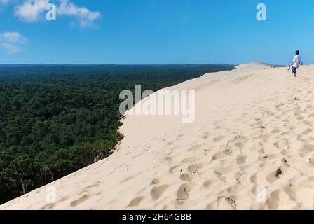 Vista panoramica di alto livello dalla duna di Pilat o Dune du Pilat a sud-ovest di Bordeaux, Francia, con vista sulla foresta; duna di sabbia più alta Foto Stock