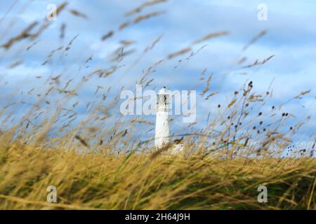 Il faro di Flamborough Head è un faro attivo situato a Flamborough, East Riding of Yorkshire. Inghilterra. Dopo l'automazione, l'ultimo faro Foto Stock