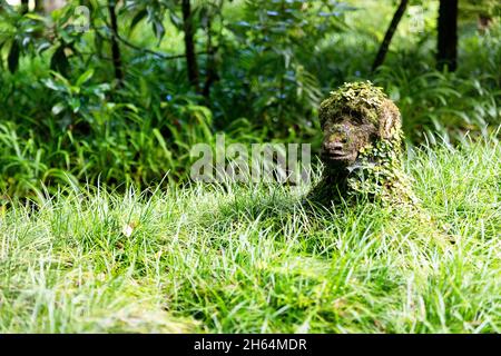 Il muschio delle scimmie ha coperto la scultura nel giardino degli animali all'hotel Terra nostra Garden , Portogallo, Azzorre, Isola di Sao Miguel, Furnas. Foto Stock