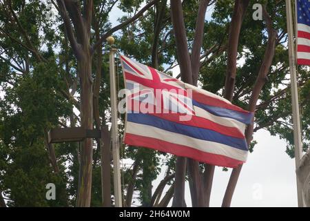 La bandiera hawaiana soffia nella brezza. Foto Stock