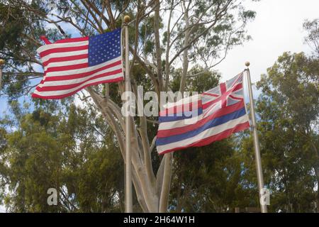 Bandiera americana e bandiera hawaiana di stato che volano nella brezza. Foto Stock