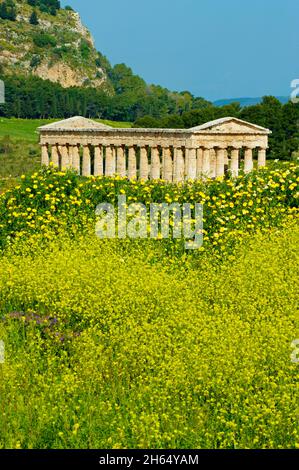 Italia, Italia, Sicilia, Sicilia, distretto di Trapani, Segesta, tempio greco Foto Stock