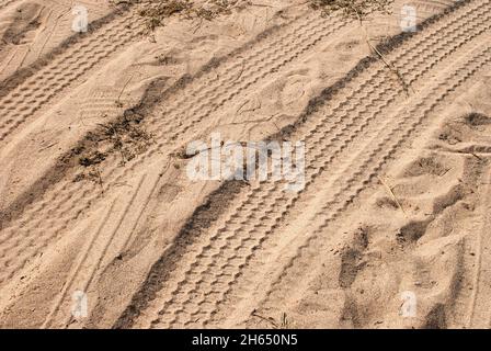 Piste per pneumatici in spiaggia Foto Stock