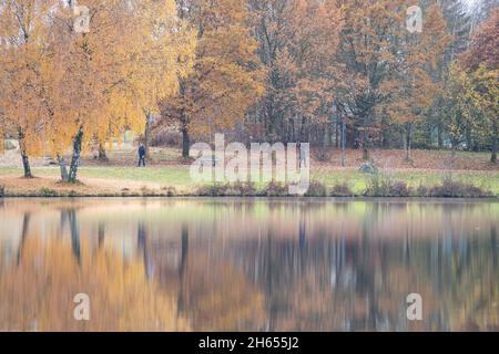 13 novembre 2021, Baviera, Weißenstadt: Passeggini a piedi lungo la riva del Weißenstädter See. Foto: Nicolas Armer/dpa Foto Stock