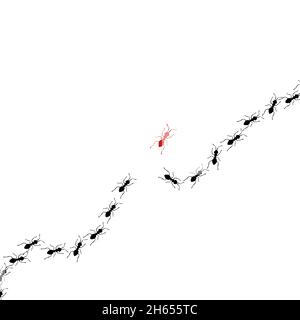 E sentiero isolato. Pensare diverso, leadership, concetto di business innovazione. Creatività e produzione di idee, si distinguono dalla folla Illustrazione Vettoriale