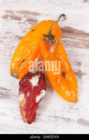 Vecchio, ammuffito e stropicciata peperoni. Concetto di malsano, decomporre, vegetale rovinate Foto Stock