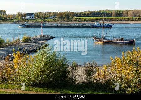 Germania, Monheim am Rhein, Reno, Bergisches Land, Niederbergisches Land, Niederberg, Renania settentrionale-Vestfalia, NRW, paesaggio del Reno, Lingua di terra, barca da pesca Aalschokker per la pesca dell'anguilla nel Reno alla riva di Monheim, freighter sul Reno, dietro la riva del Reno di Dormagen con il paese inn Piwipp Foto Stock