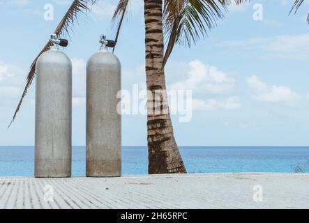 Due vasche per immersioni subacquee su strada con palme e oceano Foto Stock