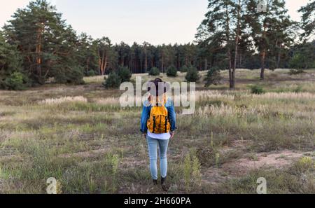 Donna viaggiatore con cappello e zaino escursioni all'aperto. Viaggiatore femminile nel suo viaggio nella natura. Ampio colpo di escursionista che cammina in erba Foto Stock