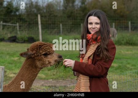 Giovane donna in un cappotto marrone e sciarpa, con un lama marrone (lama glama) Foto Stock