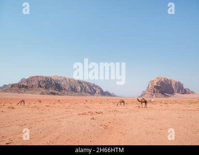 Vista panoramica dal deserto roccioso di Wadi Rum, in Giordania. Paesaggio desertico Foto Stock