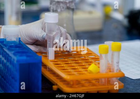 Una mano con guanti tiene una provetta di plastica con un filtro all'interno su un rack con provette. Filtrazione di sostanze in una colonna portatile in laboratorio. Foto Stock