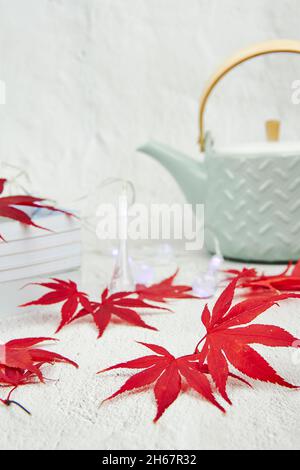 Pentola da tè verde chiaro con foglie di acero rosso e libri su sfondo bianco. Spazio di testo. Foto Stock