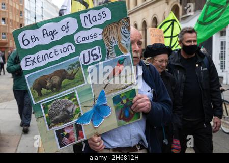 Londra, Regno Unito. 13 novembre 2021. Estinzione gli attivisti climatici della ribellione prendono parte ad un aumento e la marcia Rebel organizzata in coincidenza con la fine e il previsto fallimento del vertice sul clima della COP26. Gli attivisti intendevano inviare un messaggio al governo del Regno Unito secondo cui le proteste per garantire un'azione urgente per affrontare l'emergenza climatica ed ecologica continueranno. Credit: Mark Kerrison/Alamy Live News Foto Stock