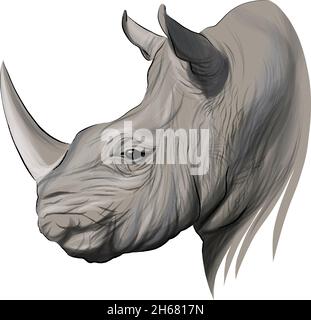 Rhino testa ritratto, rinoceronte, disegno a colori, realistico. Illustrazione vettoriale di vernici Illustrazione Vettoriale