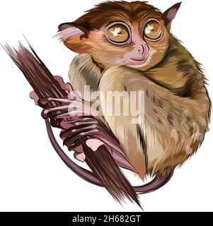 Lemur tarsier seduto su un ramo da pitture multicolore. Spruzzi di acquerello, disegno colorato, realistico. Illustrazione vettoriale di vernici Illustrazione Vettoriale