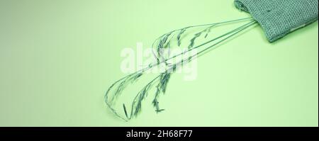 Spikelets asciutti e una borsa di lino si trovano su uno sfondo verde, erbe asciutte astratto per un arredamento elegante casa. Primo piano, appartamento, vista dall'alto, spazio per fotocopie. Foto Stock