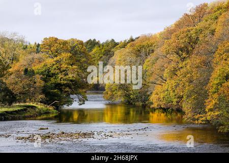 Bella scena autunnale sulle rive del fiume Tees visto dal ponte d'argento, Barnard Castle, Teesdale, County Durham, Regno Unito Foto Stock