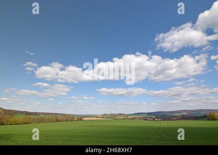 Paesaggio primaverile a Schaumburg, bassa Sassonia Foto Stock