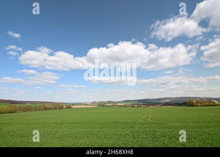 Paesaggio primaverile a Schaumburg, bassa Sassonia Foto Stock