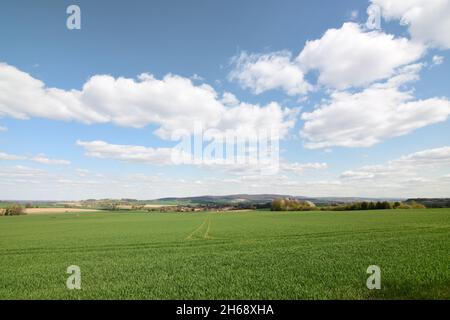 Paesaggio primaverile a Schaumburg, bassa Sassonia Foto Stock