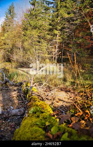 Paesaggio autunnale al Ödensee in Stiria Foto Stock