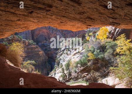 Zion National Park, Utah, USA. Vista sulla collina rocciosa sopra Pine Creek dalla rientranza sotto lo sbalzo roccioso sul Canyon Overlook Trail, autunno. Foto Stock