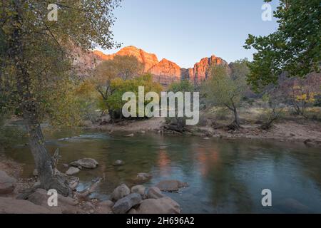 Zion National Park, Utah, USA. Vista dal sentiero Pa'rus attraverso il fiume Virgin fino a Bridge Mountain, autunno, scogliere incandescenti rosa nel sole del tramonto. Foto Stock