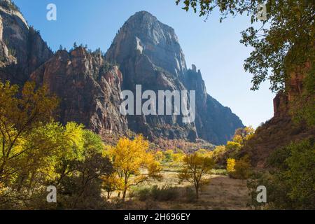 Zion National Park, Utah, USA. Vista lungo il pavimento boscoso dello Zion Canyon fino alla maestosa faccia nord del Grande Trono Bianco, in autunno. Foto Stock