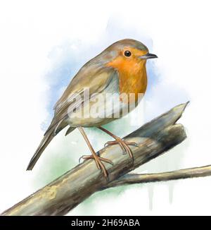 Il robin europeo ha arroccato su un marchio. Acquerello digitale originale. Foto Stock
