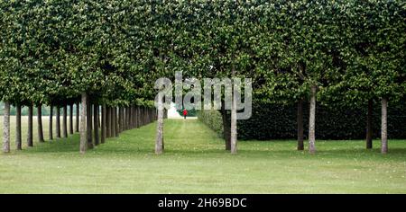 uomo solitario in ponticello rosso attraverso viale di alberi frondosi Foto Stock