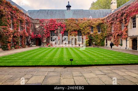 Quad anteriore del Lincoln College, Oxford, con pareti ricoperte di edera e erba perfettamente macinata Foto Stock