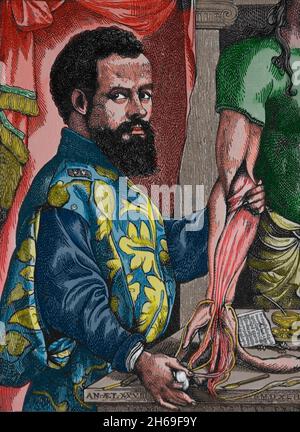 Andreas Vesalius (1514-1564). Anatomista belga. Legno tagliato da 'De umani Corporis Fabrica', Basilea, 1543. Foto Stock