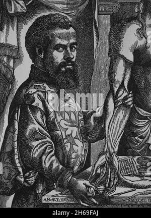 Andreas Vesalius (1514-1564). Anatomista belga. Legno tagliato da 'De umani Corporis Fabrica', Basilea, 1543. Foto Stock