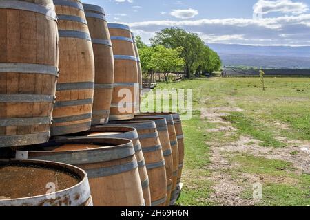Botti di vino in legno. Cantina. Vigneto en Cordoba, Argentina. Esterno, orizzontale Foto Stock