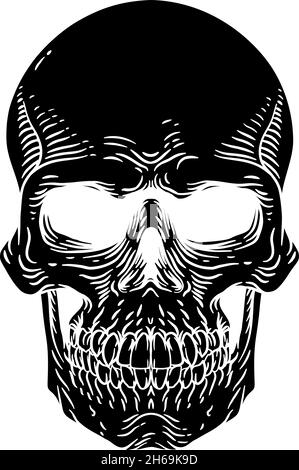 Cranio Old Vintage Woodcut Etching stile incisione Illustrazione Vettoriale