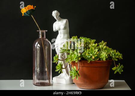 Natura morta con sedum palmeri, vaso con fiore artificiale e figura in resina bianca Foto Stock