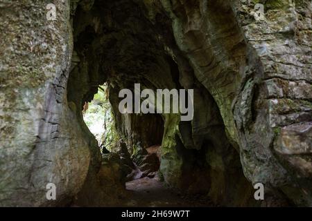 Cave Tunnel, Ruakuri Bush e Scenic Reserve, Waitomo, Nuova Zelanda Foto Stock