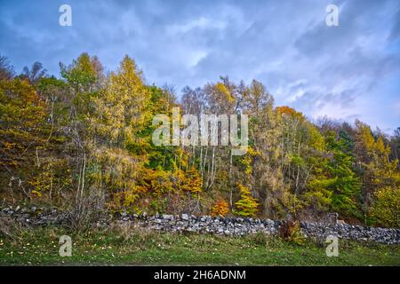 Killiecrankie - Dunkeld - Perthshire - Scozia Foto Stock