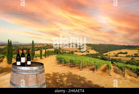 Vista sui vigneti con uve rosse e paesaggio tipico toscano con campi agricoli e cantina, degustazione del vino appena imbottigliato dal Foto Stock