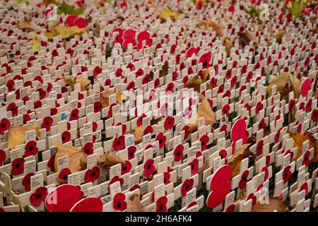 LONDRA, Regno Unito 14 NOVEMBRE 2021, Poppy attraversa il campo di memoria di Westminster Abbey la domenica della memoria Foto Stock