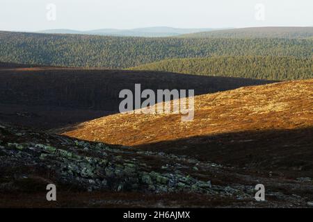 Uno scenario di campane aperte durante un tramonto autunnale nel Parco Nazionale di Urho Kekkonen, Finlandia settentrionale. Foto Stock