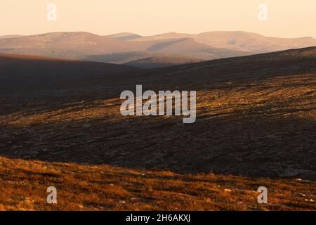 Uno scenario di campane aperte durante un tramonto autunnale nel Parco Nazionale di Urho Kekkonen, Finlandia settentrionale. Foto Stock