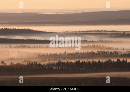 Belle campane nella nebbia durante una mattinata colorata nel nord della Finlandia vicino Kuusamo in autunno. Foto Stock