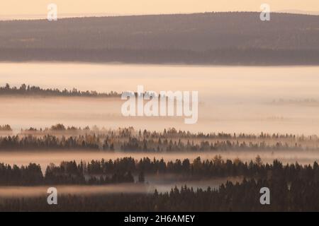 Belle campane nella nebbia durante una mattinata colorata nel nord della Finlandia vicino Kuusamo in autunno. Foto Stock